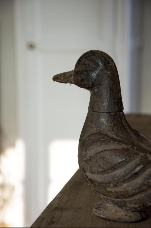 Le Roi Des Oiseaux - Gite A La Campagne Montcavrel Dış mekan fotoğraf
