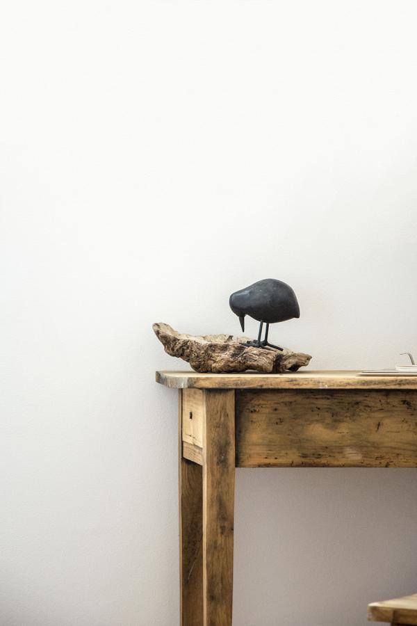 Le Roi Des Oiseaux - Gite A La Campagne Montcavrel Dış mekan fotoğraf